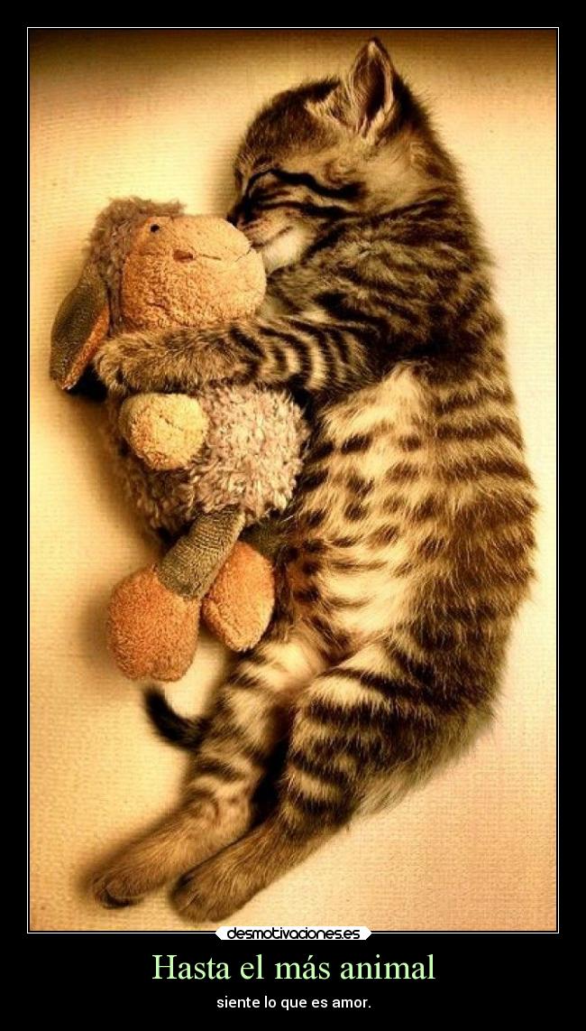 Hasta el más animal -