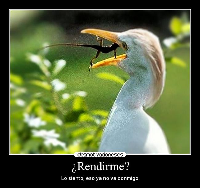 ¿Rendirme? - Lo siento, eso ya no va conmigo.