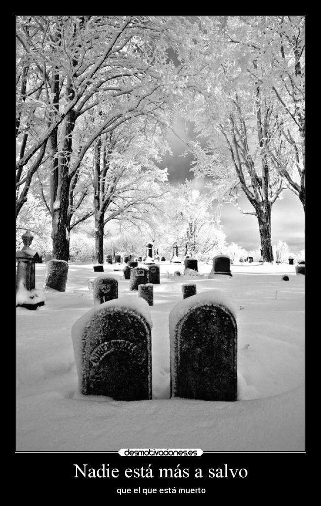 Nadie está más a salvo -