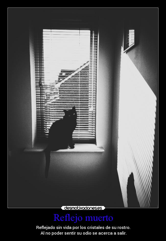 carteles muerte odio alma thegirltwinkle dosguiond estoyloco ladooscuro desmotivaciones