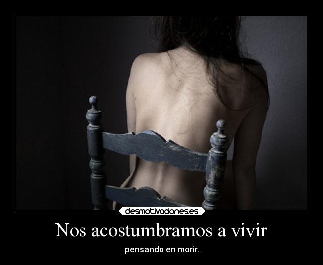 Nos acostumbramos a vivir - 