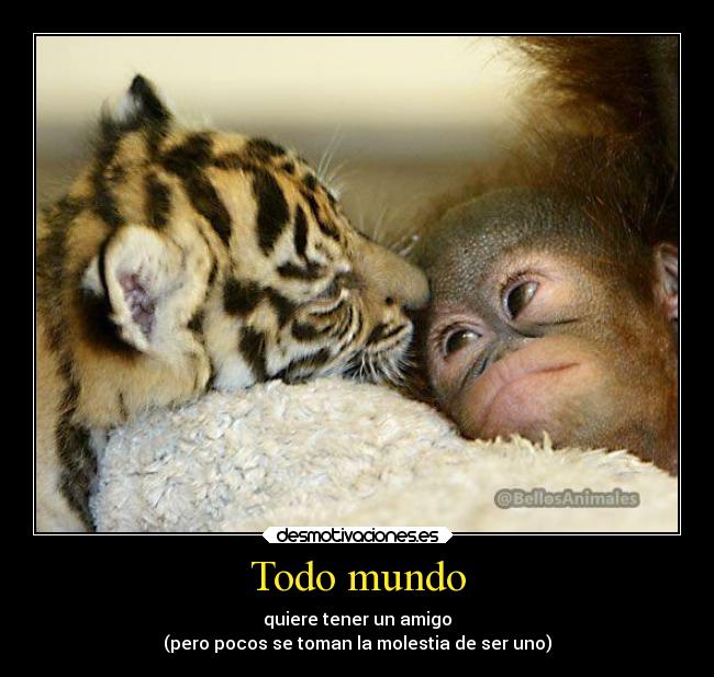 Todo mundo - quiere tener un amigo
(pero pocos se toman la molestia de ser uno)