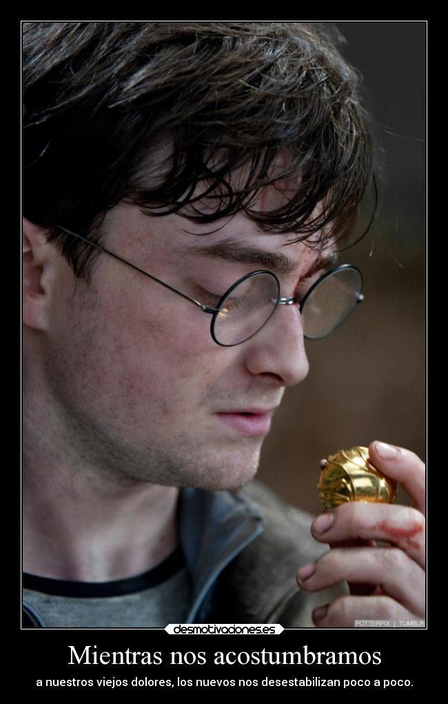 Mientras nos acostumbramos -