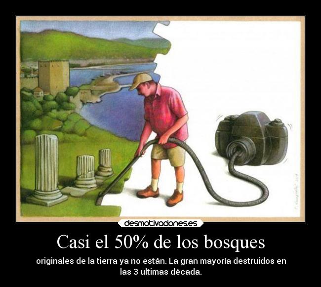 Casi el 50% de los bosques - 