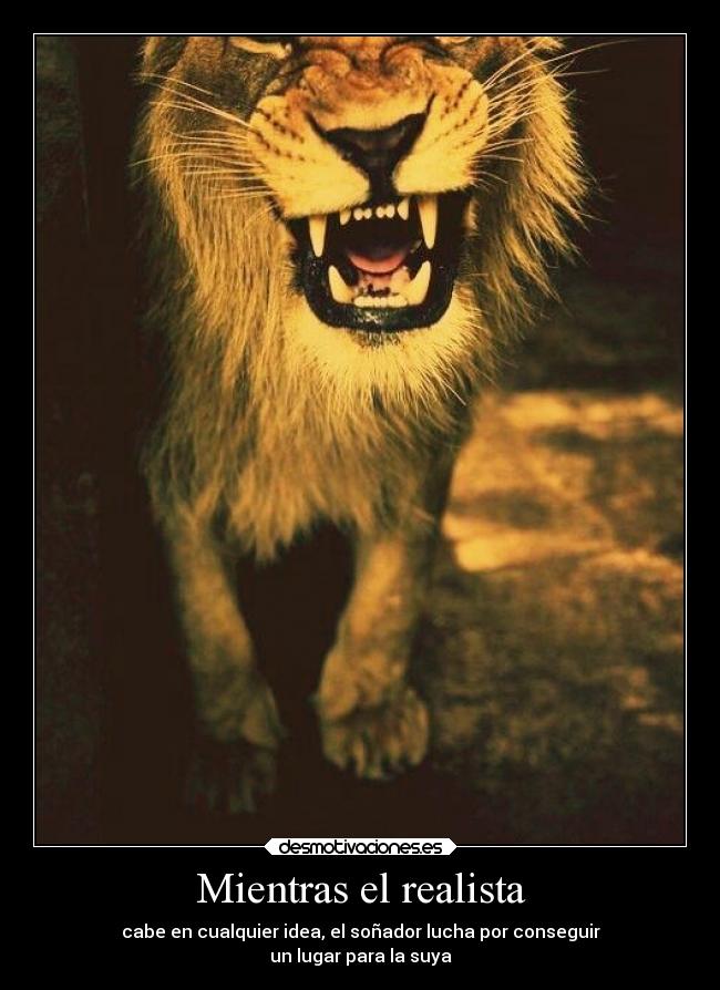 Mientras el realista - 