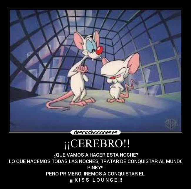 ¡¡CEREBRO!! -