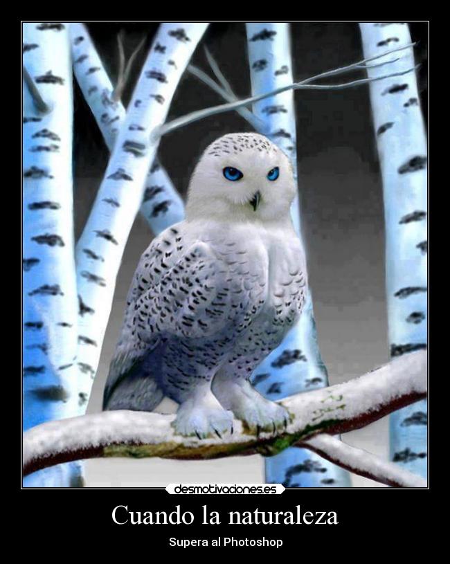 Cuando la naturaleza - 