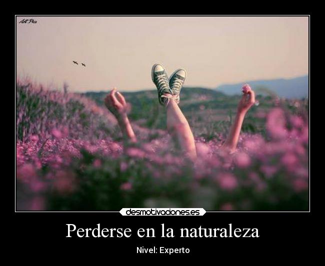 Perderse en la naturaleza - Nivel: Experto