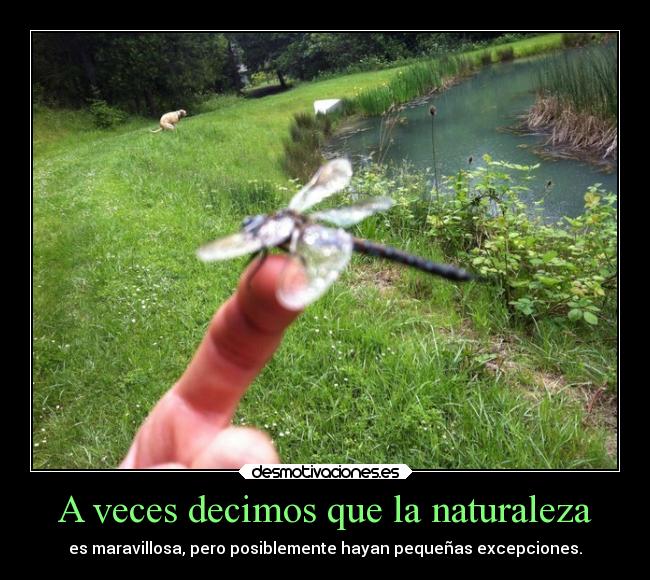 A veces decimos que la naturaleza - 
