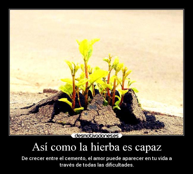 carteles obstaculos sentimientos sociedad vida imposible motivaciones amor desmotivaciones