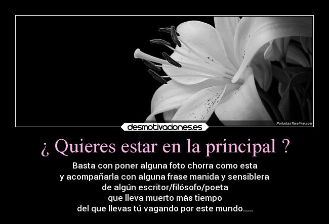 carteles odio ignorancia frases enfados desmotivaciones debilidad criticas arte alegria alma amor simples desmotivaciones
