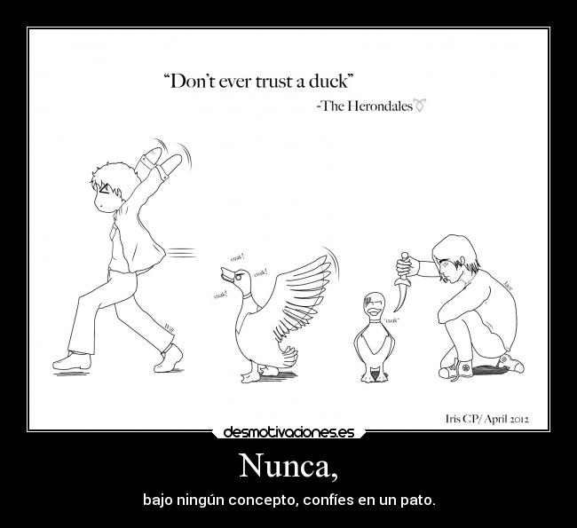 Nunca, - bajo ningún concepto, confíes en un pato.