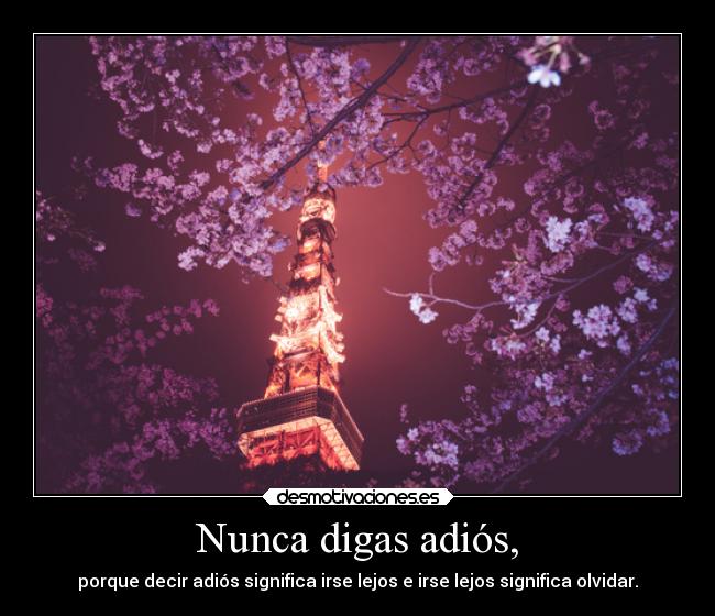 Nunca digas adiós, - 