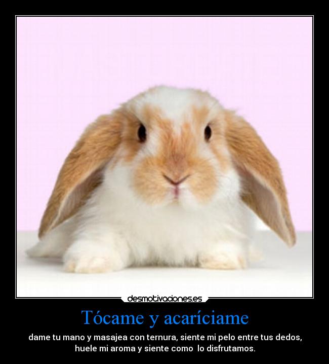 Tócame y acaríciame -