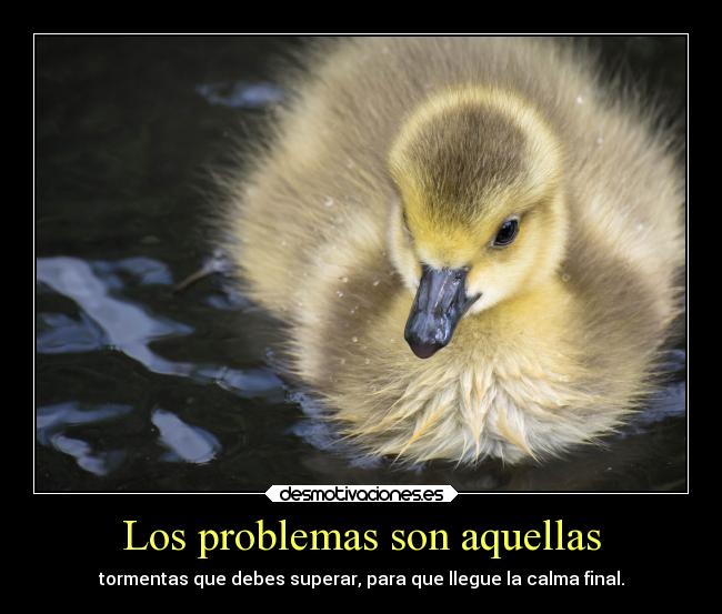 Los problemas son aquellas - tormentas que debes superar, para que llegue la calma final.