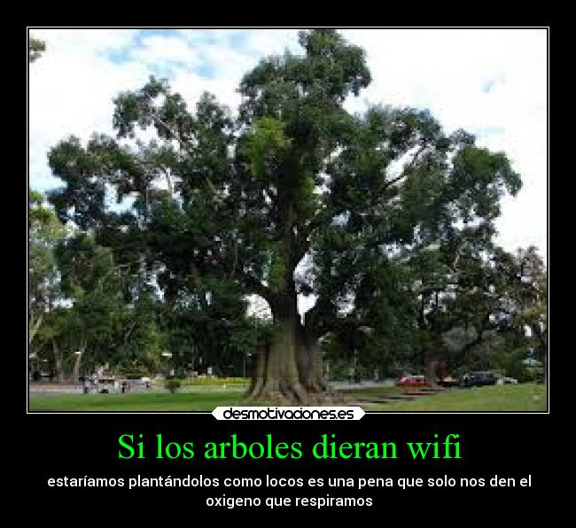 Si los arboles dieran wifi - estaríamos plantándolos como locos es una pena que solo nos den el
oxigeno que respiramos