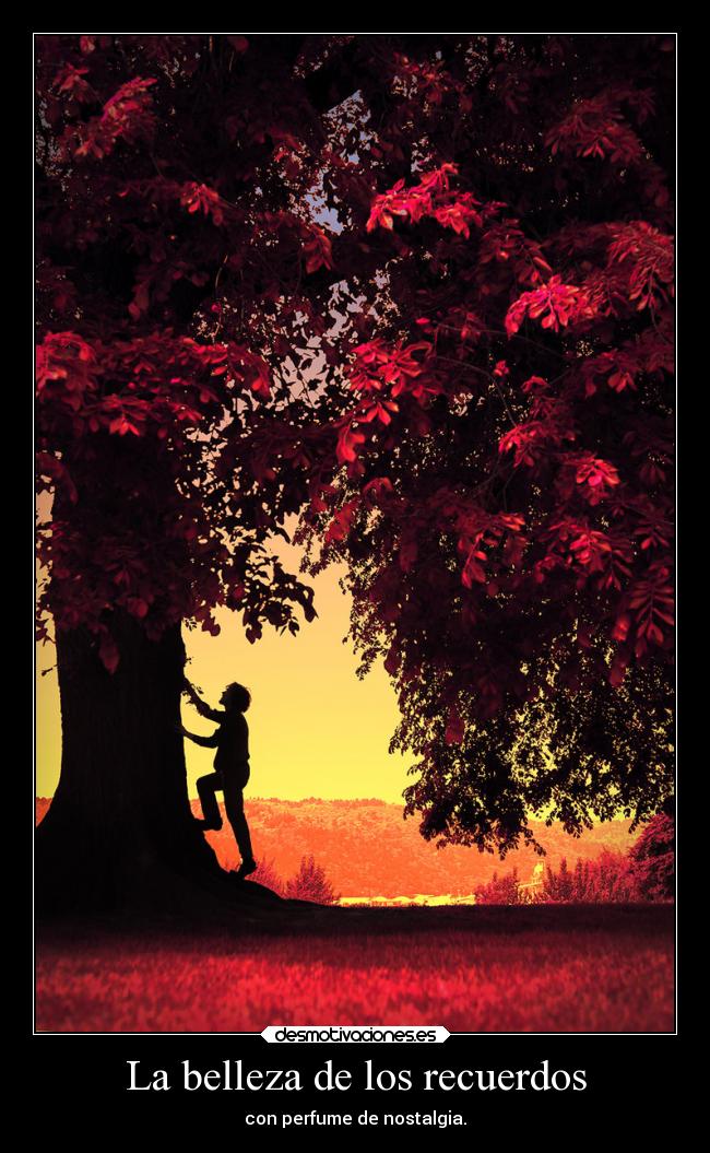 La belleza de los recuerdos - con perfume de nostalgia.
