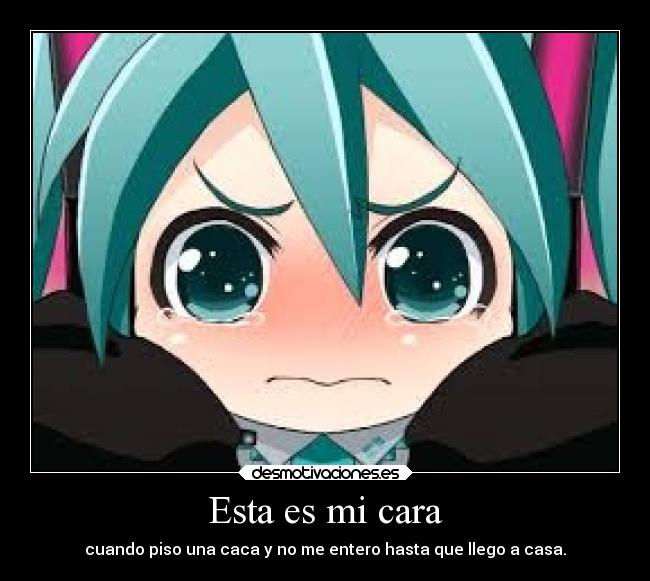 Esta es mi cara - cuando piso una caca y no me entero hasta que llego a casa.