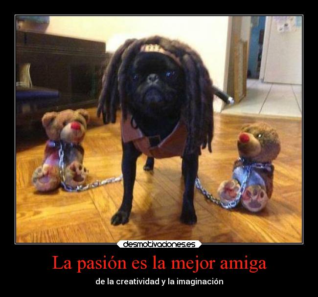 La pasión es la mejor amiga - de la creatividad y la imaginación