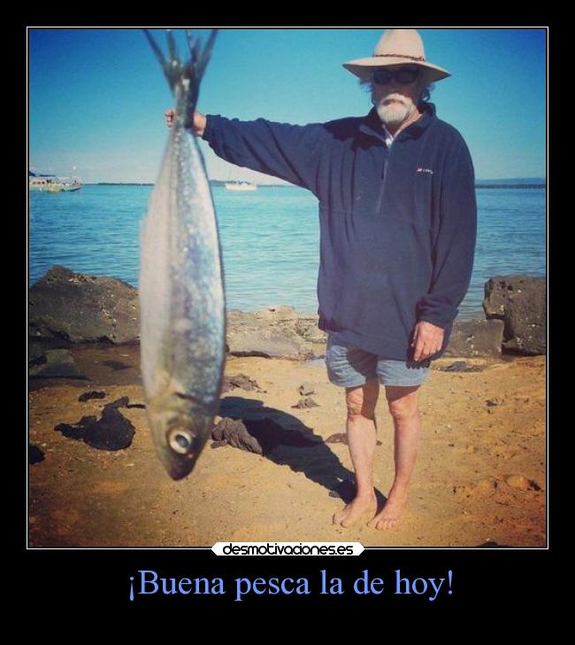 ¡Buena pesca la de hoy! -