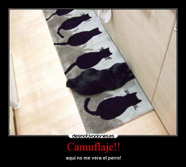 Camuflaje!! -
