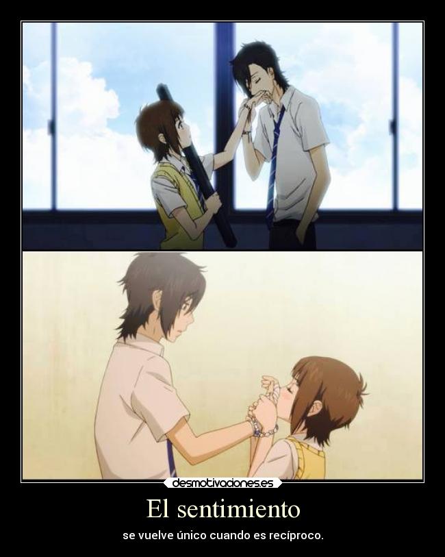 El sentimiento -