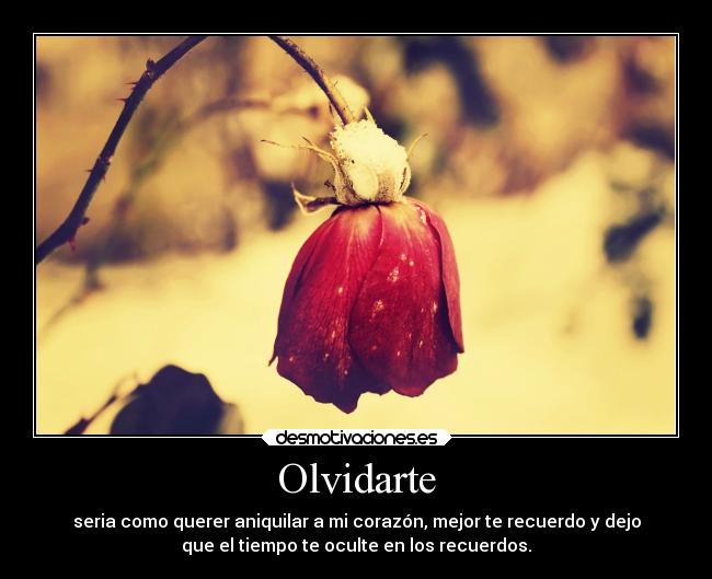 Olvidarte - seria como querer aniquilar a mi corazón, mejor te recuerdo y dejo
que el tiempo te oculte en los recuerdos.