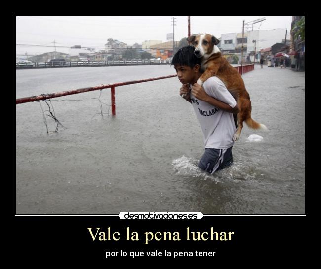 Vale la pena luchar -