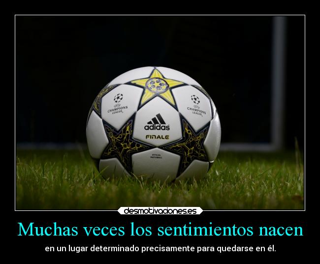 Muchas veces los sentimientos nacen - 