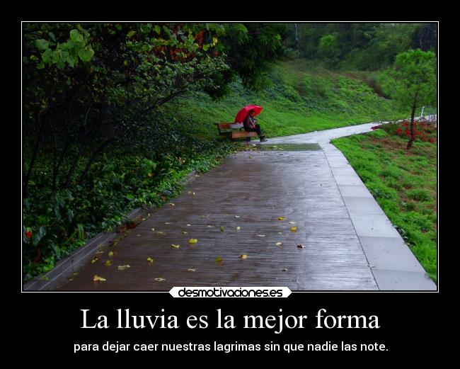 La lluvia es la mejor forma - 