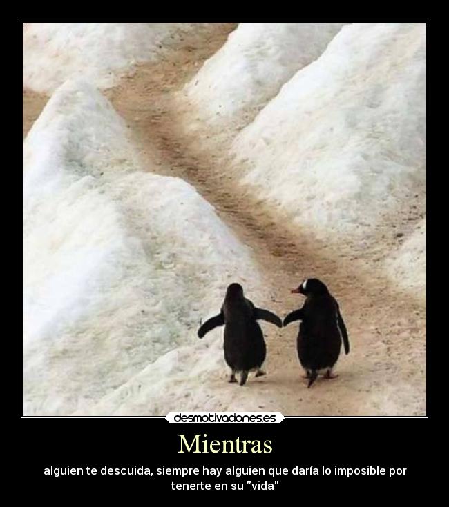 Mientras - 