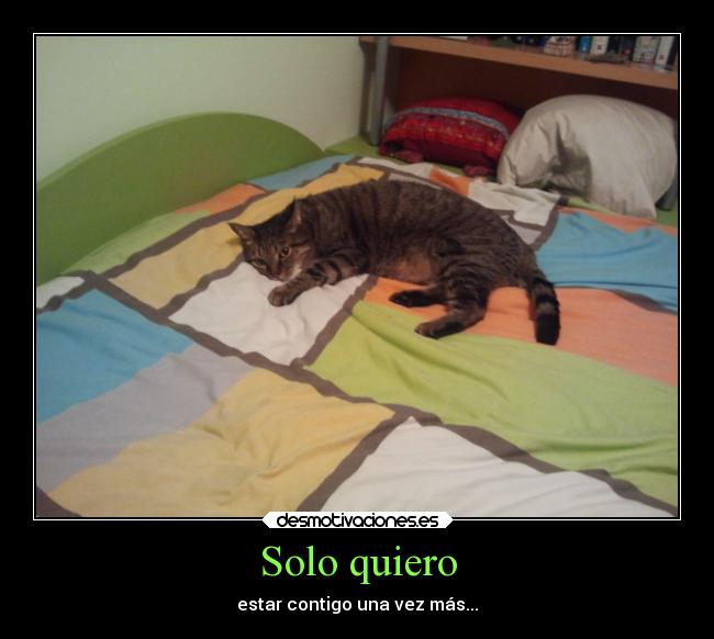 Solo quiero - estar contigo una vez más...