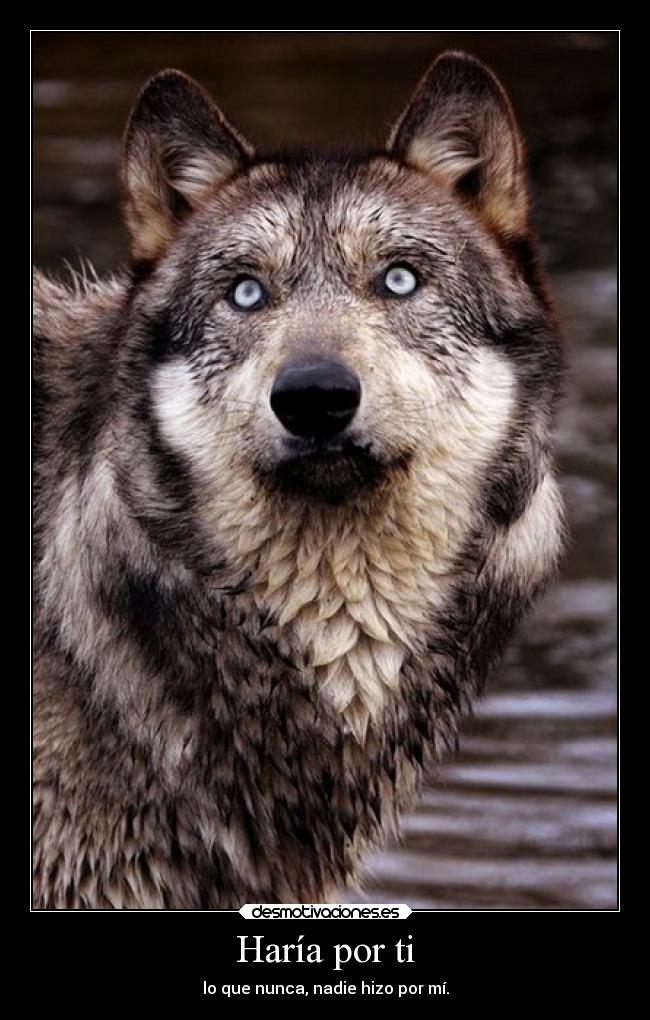 Haría por ti - 