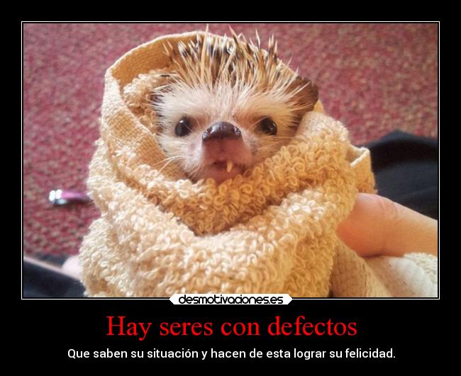 carteles sentimientos problemas vida alegria felicidad sonrisa risa amor animales desmotivaciones