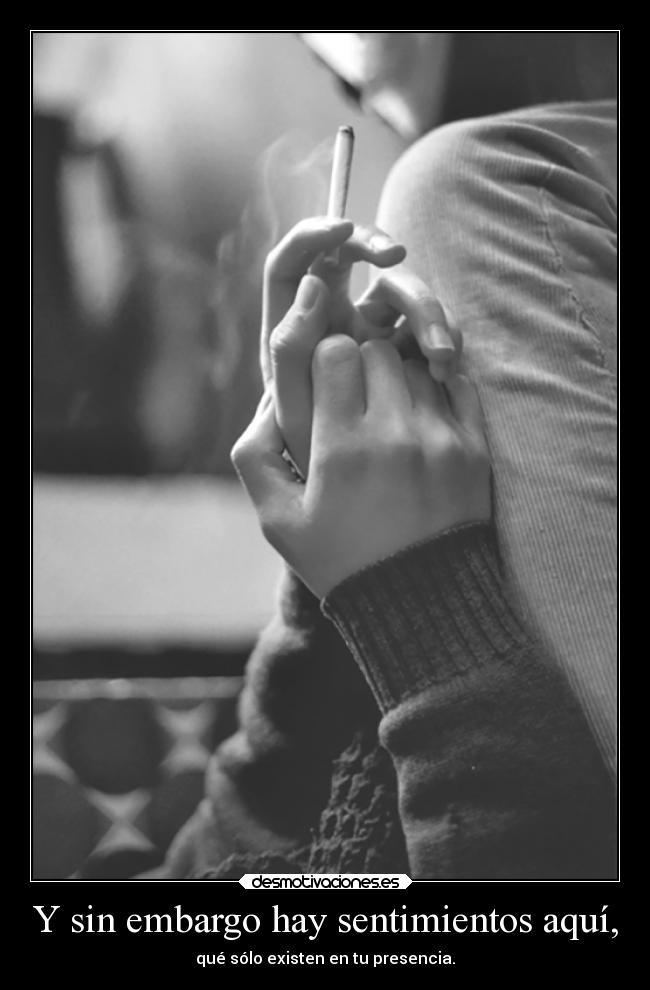 carteles sentimientos sentimientos vida desmotivaciones