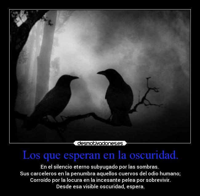 Los que esperan en la oscuridad. - 
