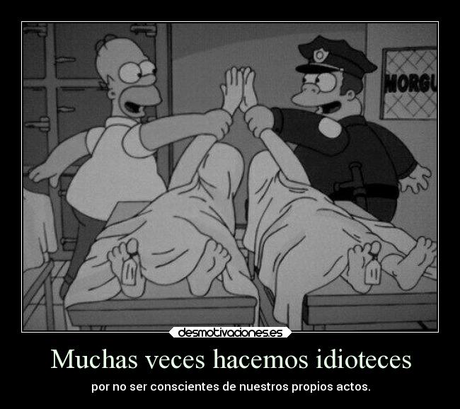 Muchas veces hacemos idioteces - 