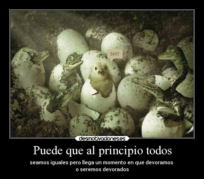 Puede que al principio todos - 