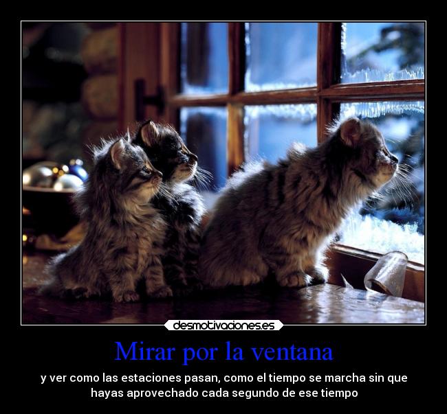 Mirar por la ventana - y ver como las estaciones pasan, como el tiempo se marcha sin que
hayas aprovechado cada segundo de ese tiempo