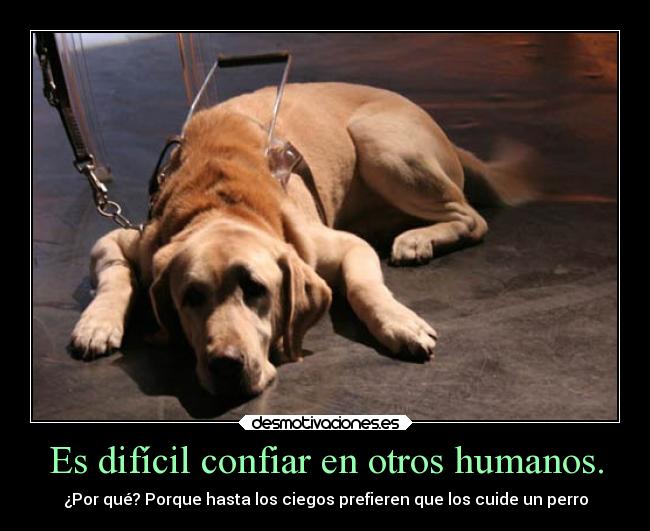 carteles sociedad desmotivaciones