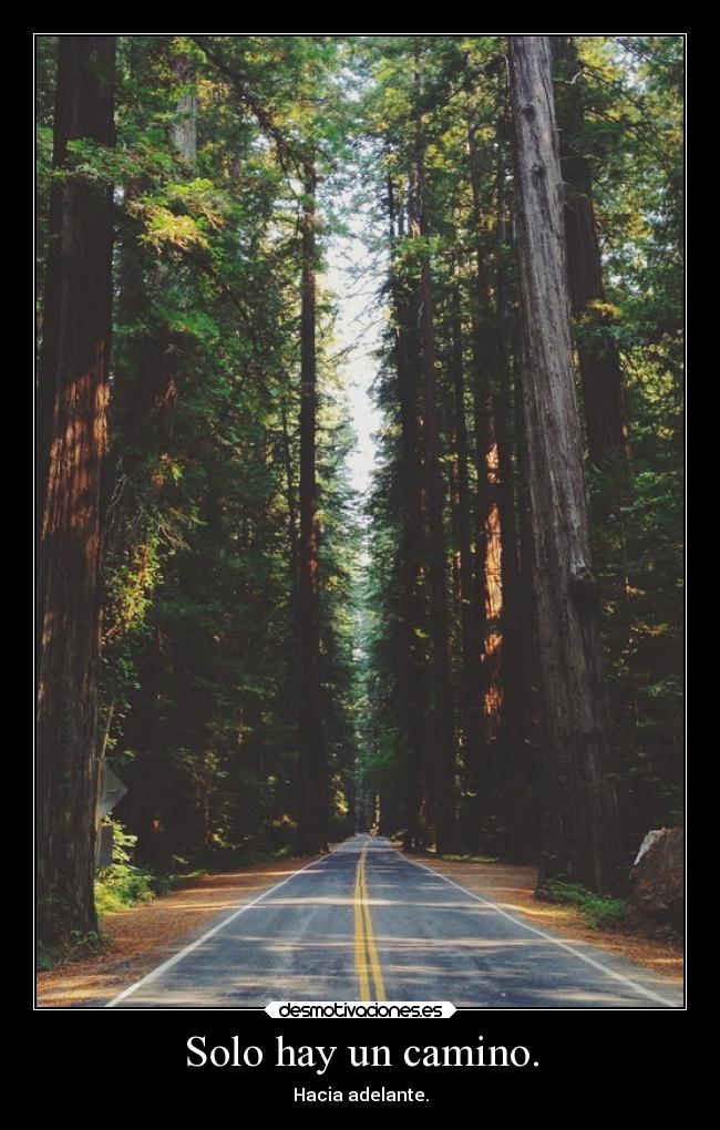 Solo hay un camino. -