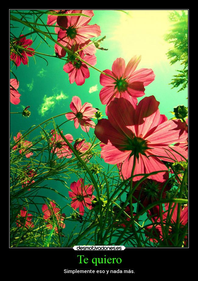 Te quiero - Simplemente eso y nada más.