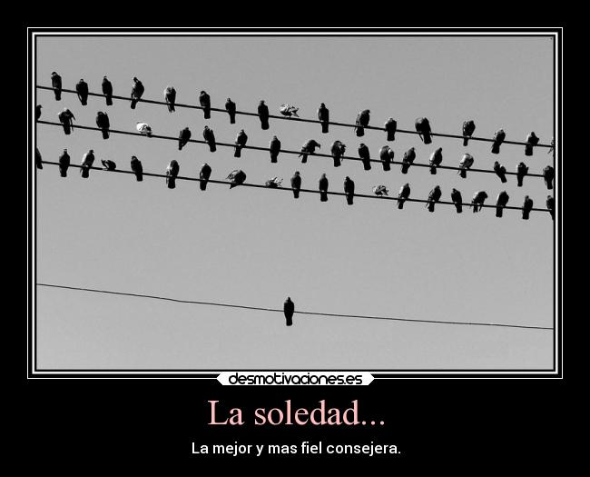 La soledad... - La mejor y mas fiel consejera.