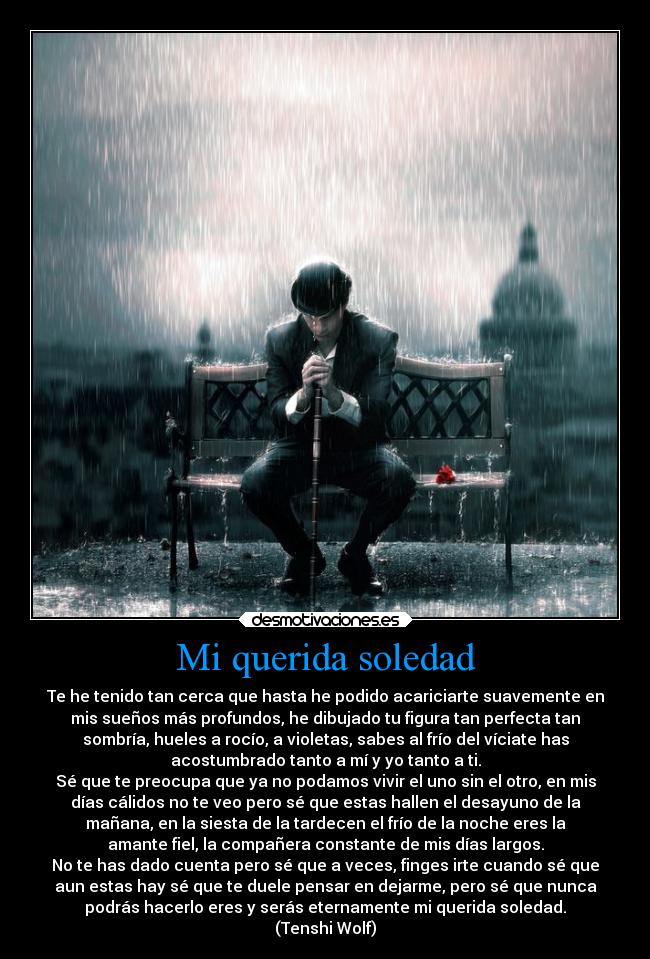 Mi querida soledad - Te he tenido tan cerca que hasta he podido acariciarte suavemente en
mis sueños más profundos, he dibujado tu figura tan perfecta tan
sombría, hueles a rocío, a violetas, sabes al frío del víciate has
acostumbrado tanto a mí y yo tanto a ti.
Sé que te preocupa que ya no podamos vivir el uno sin el otro, en mis
días cálidos no te veo pero sé que estas hallen el desayuno de la
mañana, en la siesta de la tardecen el frío de la noche eres la
amante fiel, la compañera constante de mis días largos.
No te has dado cuenta pero sé que a veces, finges irte cuando sé que
aun estas hay sé que te duele pensar en dejarme, pero sé que nunca
podrás hacerlo eres y serás eternamente mi querida soledad.
(Tenshi Wolf)