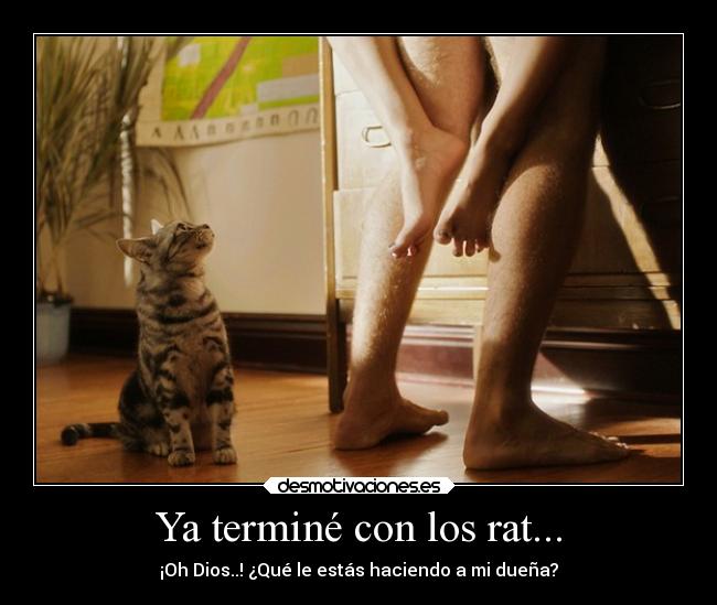 Ya terminé con los rat... - 