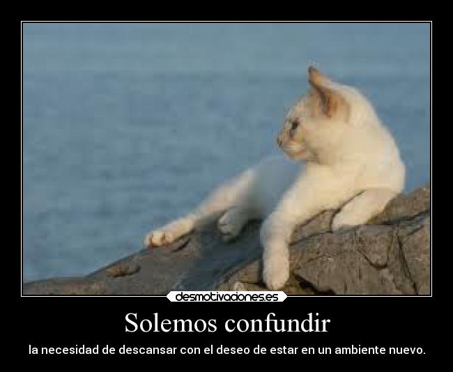 carteles trabajo desmotivaciones