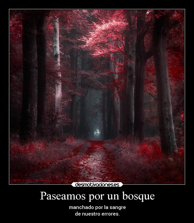 Paseamos por un bosque - 
