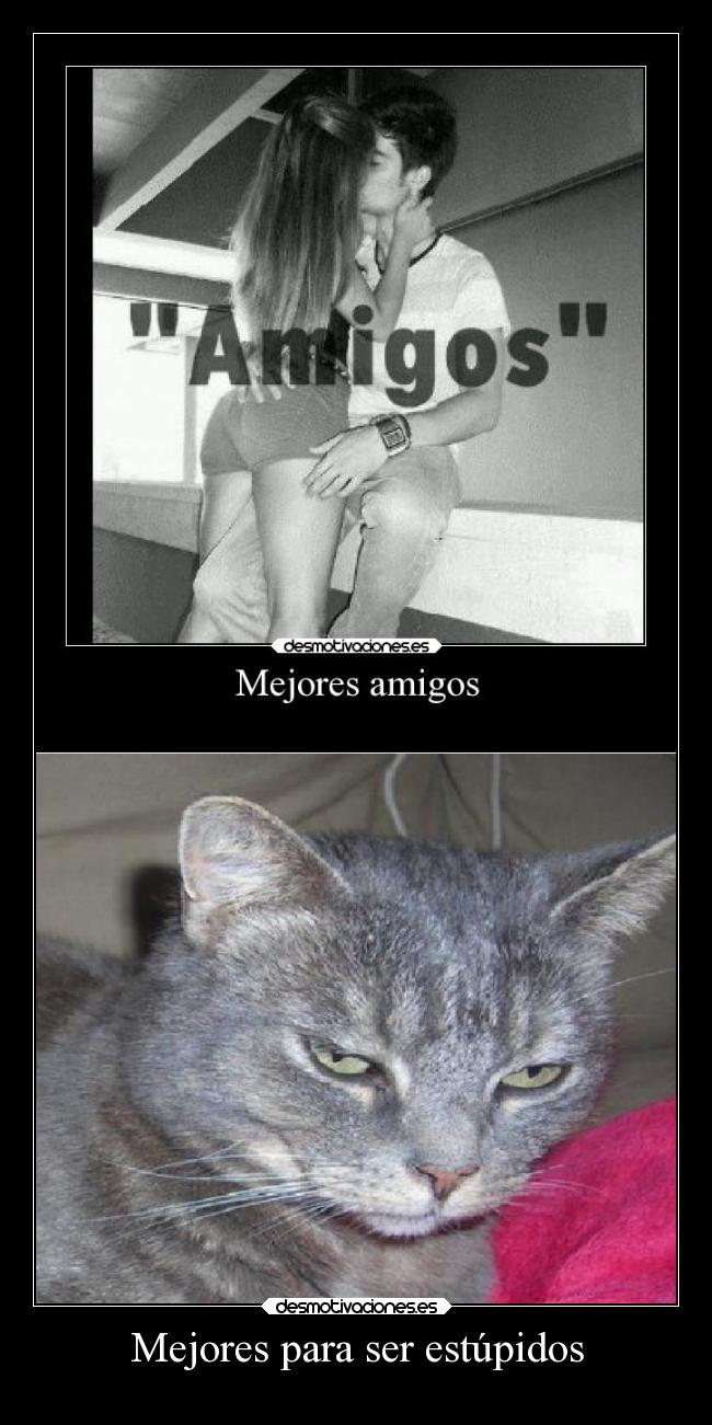 carteles tuenti celos denuncia gato del cereal posdata esto mierda desmotivaciones