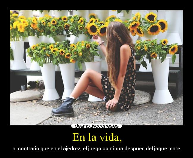 En la vida, - 