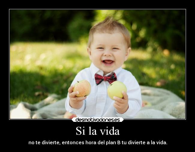 Si la vida - no te divierte, entonces hora del plan B tu divierte a la vida.